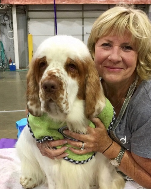 Clumber Spaniel Our Dogs