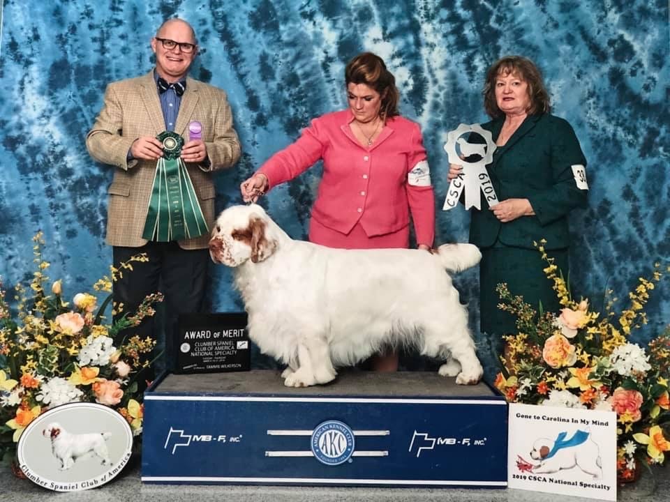 Howie - Award Of Merit