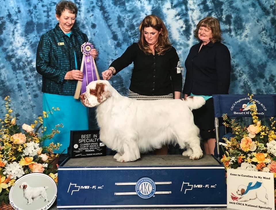 Howie - Best In Specialty'