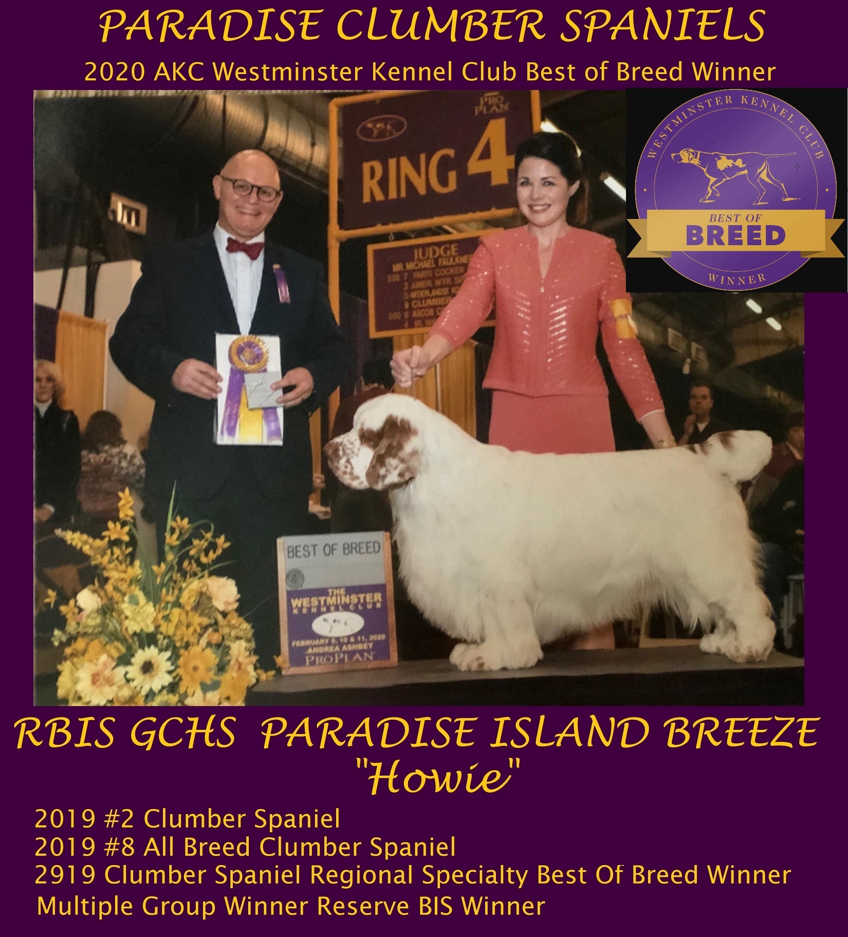 Best Of Breed Winner