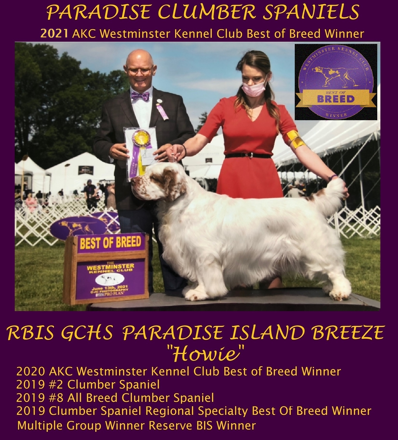 Best Of Breed Winner